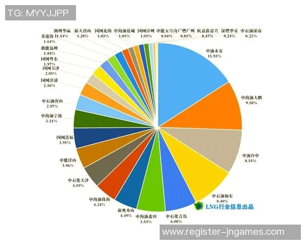 探索LNG市场的灵活性表现与数据分析方法的深度结合